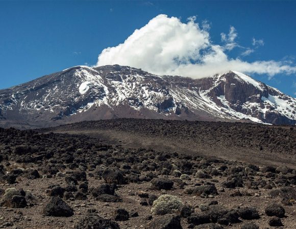 Kilimanjaro Climb  in 9 Days Northern Circuit Route